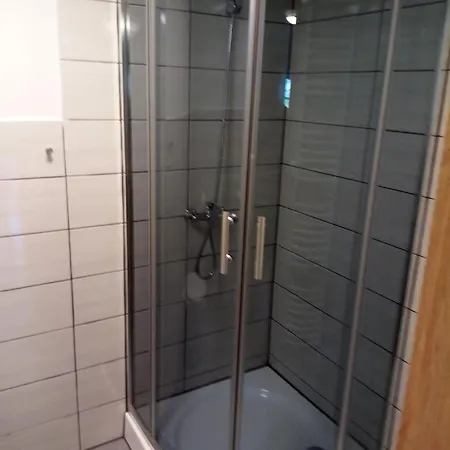 Apartmany Pod Lipami - Harrachov 哈拉霍夫